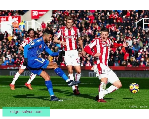 斯托克城夏季清理名单引发关注，球队重建进入关键阶段